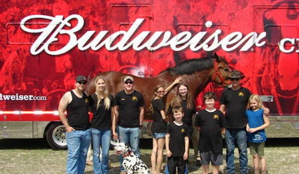 Budweiser Clydesdales Visit To Ft. Stewart, Ga  T-Shirt Photo